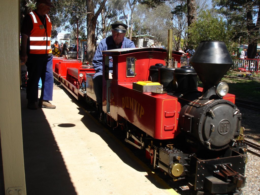 Steam Train by Mark Read