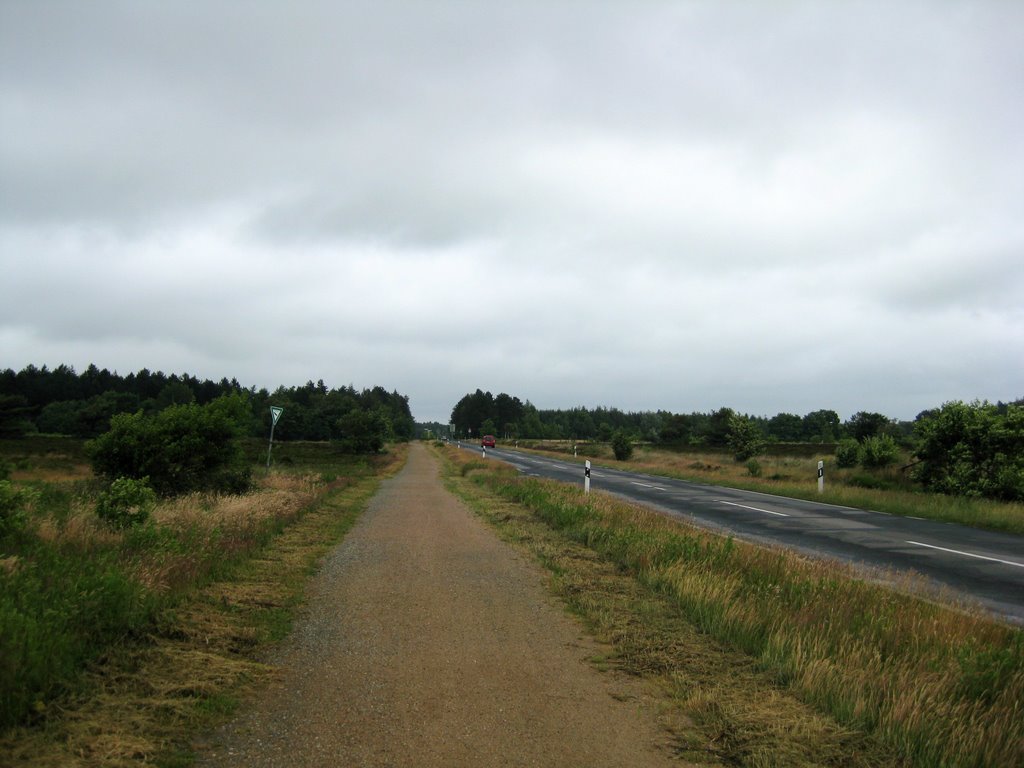 Holte-Spangen - an der "Holter Straße" (Kreisstraße 7) by Robert-68