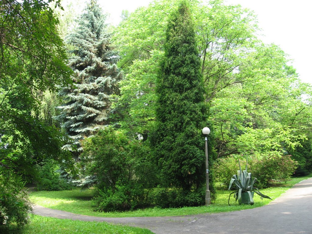 Park miejski w Gorlicach by Mariusz Krukar