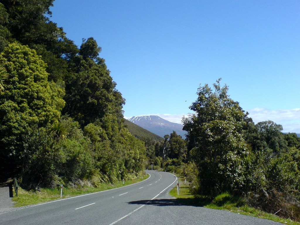 View to Mt. Ruapheu by Chris D.