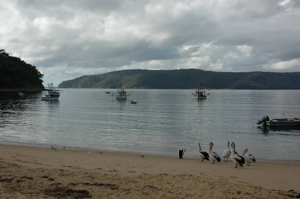 Patonga Beach in the morning's glory by Selim Tezcan