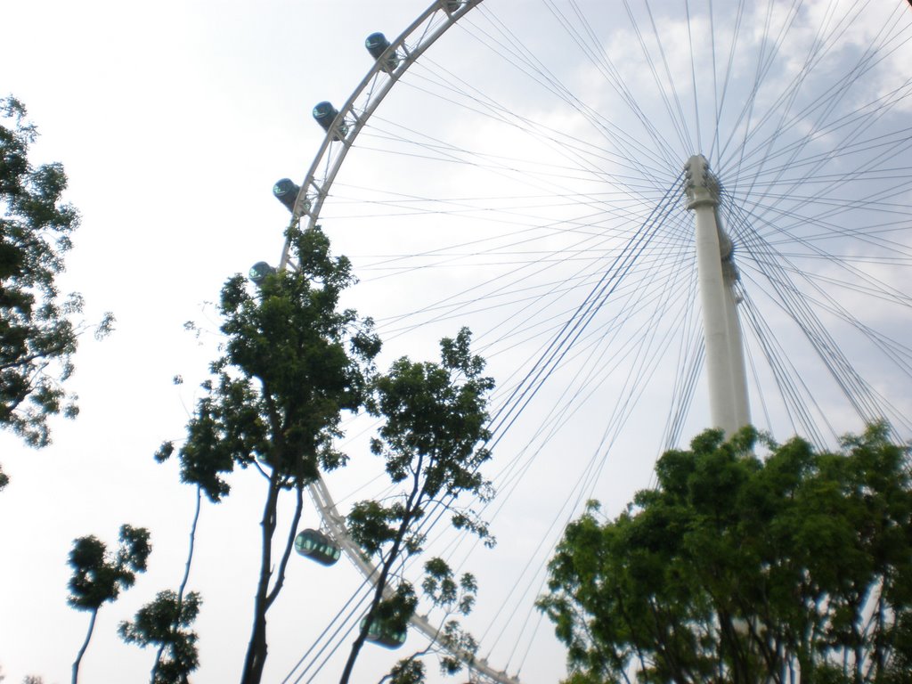 Singapore Flyer (April 2008) by Prizm