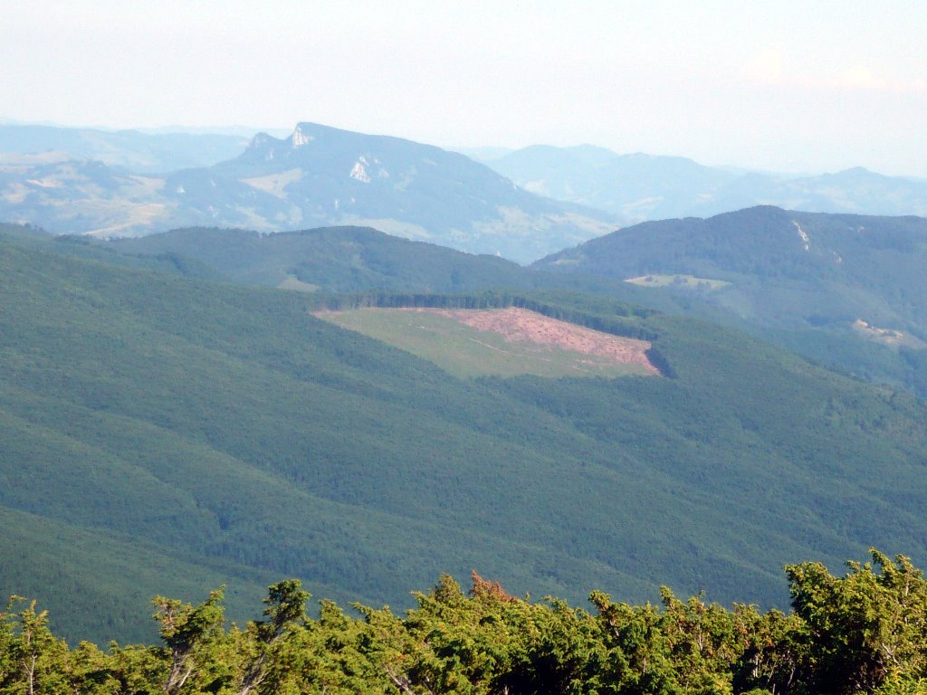 Avram Iancu, Romania by Petrescu Mircea Dan