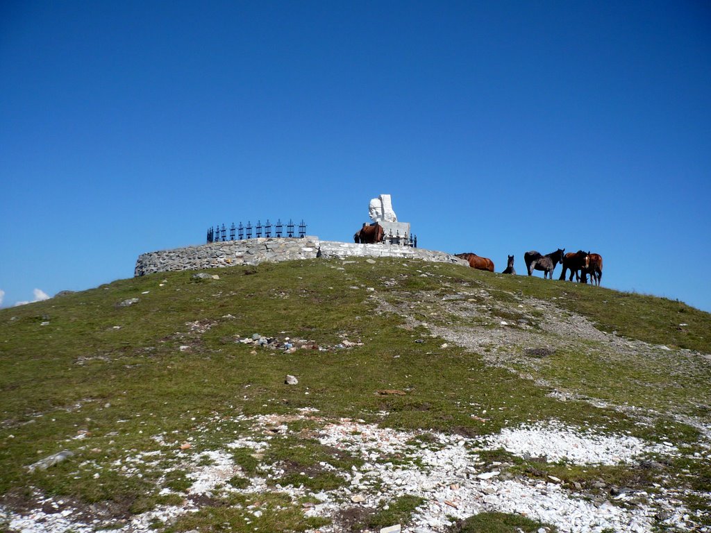 Muntele Gaina - vf. secundar - 1466,5 m by Petrescu Mircea Dan