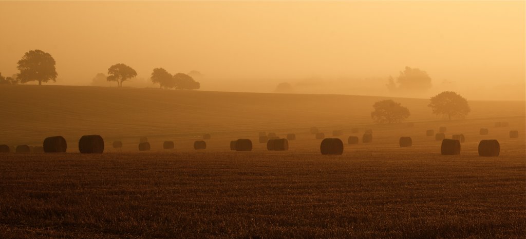 Through the Mist by Pixelpusher