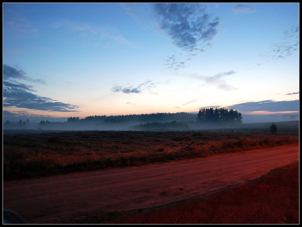 In front of my house by Tomek K