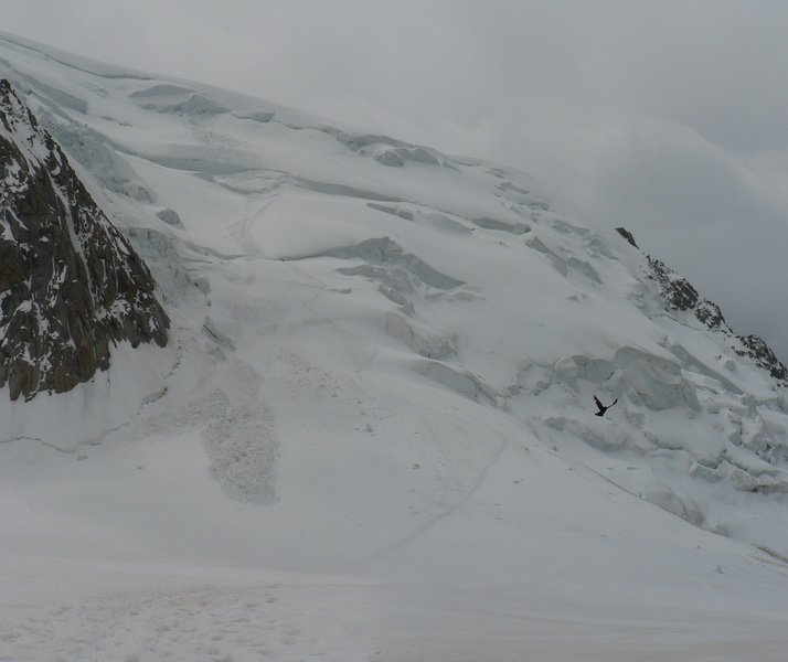 Under Mont Blanc du Tacul by bReo