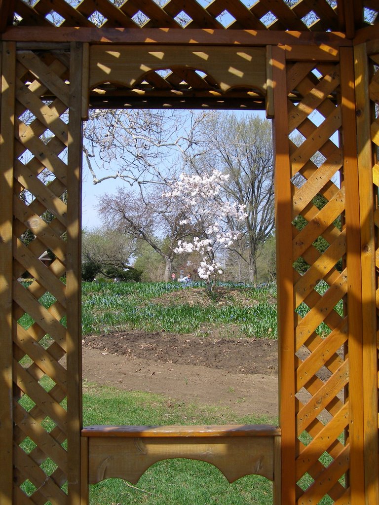 Pergola - Experimental farm gardens by codds