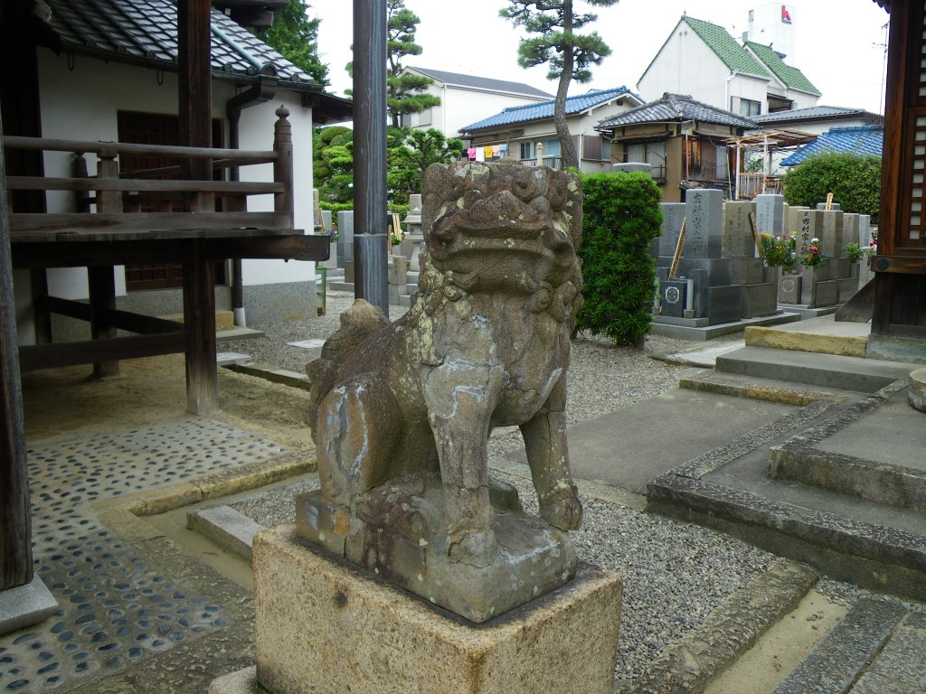 Kongohin Temple　金剛院　恵比寿尊　狛犬［雌］ by murakami.cc