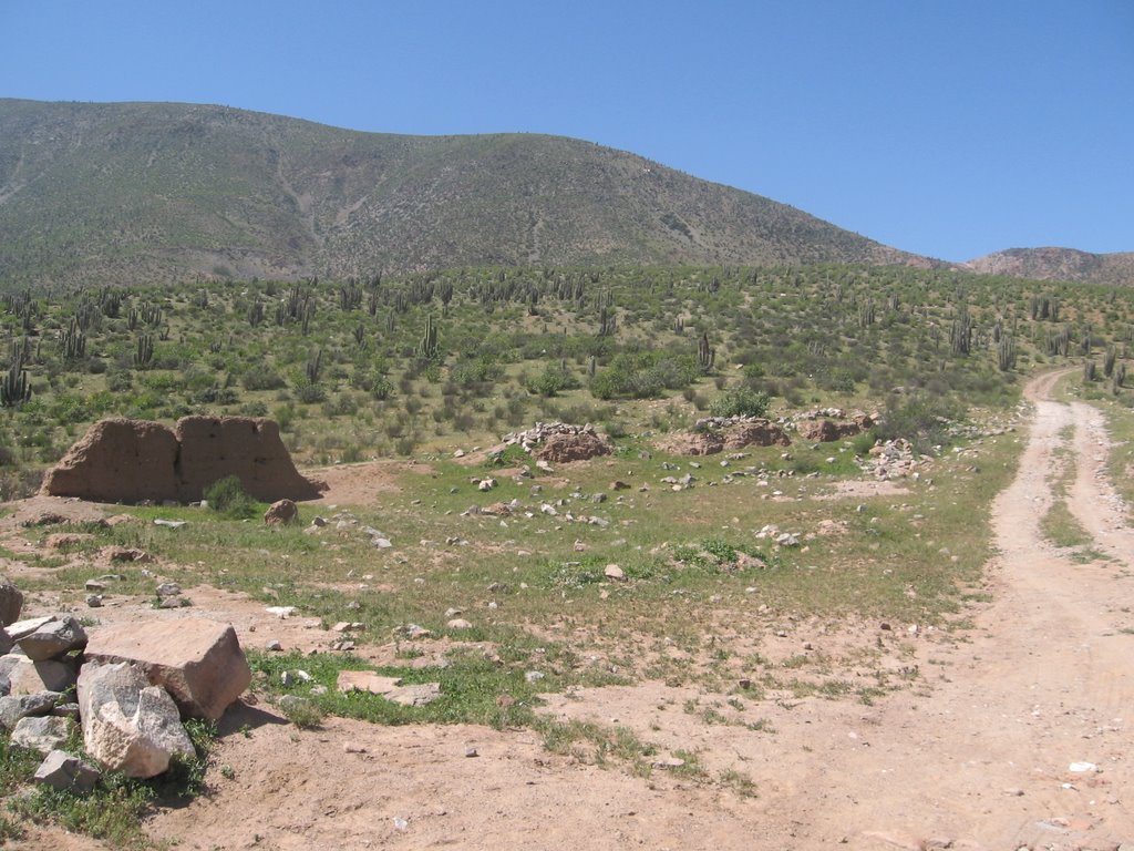 Camino a cementerio de gualliguaica,valle de elqui chile by jorgeenrique