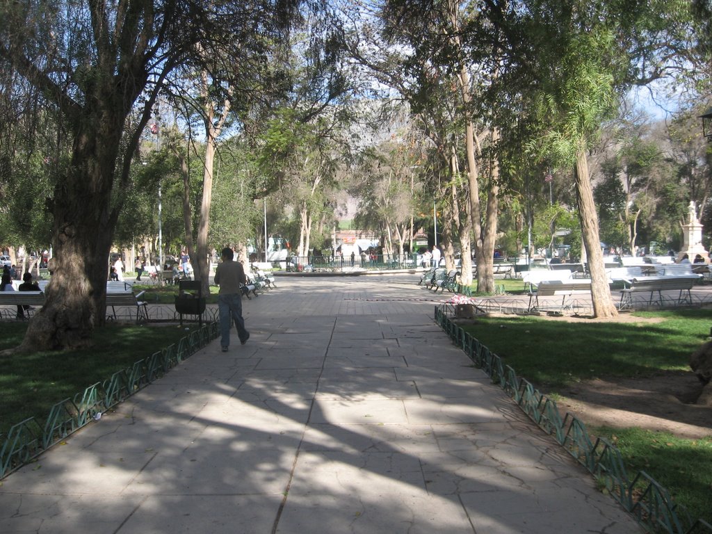 Plaza de vicuña valle de elqui,chile by jorgeenrique