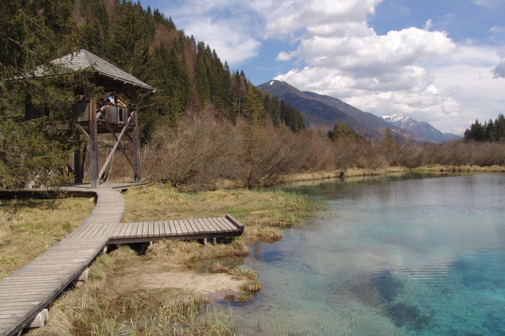 Zelenci - izvir Save Dolinke by Roman Čepon