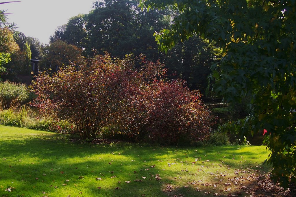 Schöner Herbst in Köln !!! by gerd j.