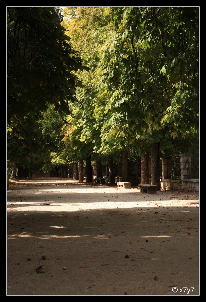 Paseo del Parque (Hervas) by x7y7