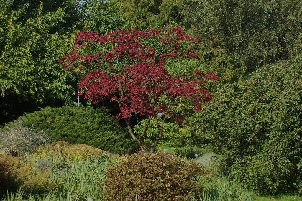 Schöner Herbst in der Kölner Flora by gerd j.