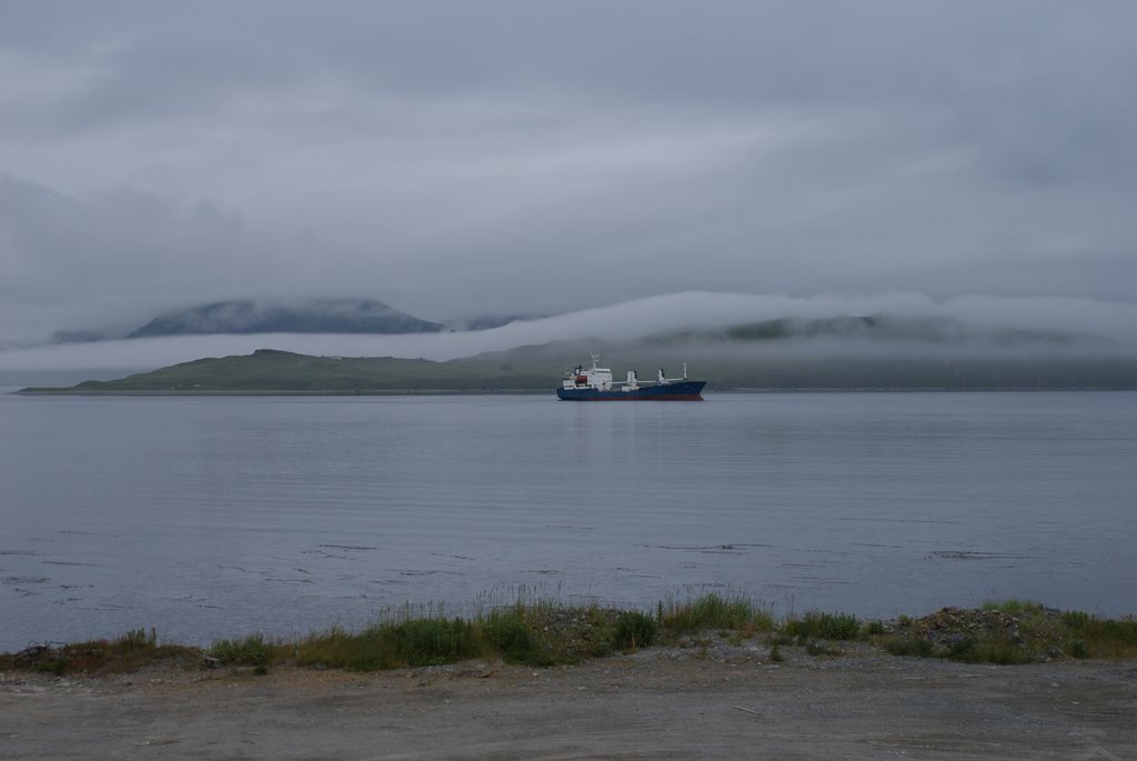 View at Airport Beach Rd. by Veronica Caballero