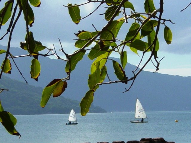 Av. das Rendeiras, Florianópolis, SC by Deonisio Rocha