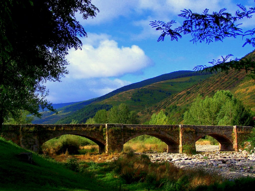 PUENTE CANTO by Carlos Ramos De  Los…