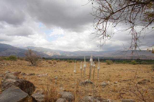 Emek Hulah, Israel by Ofer Agiv