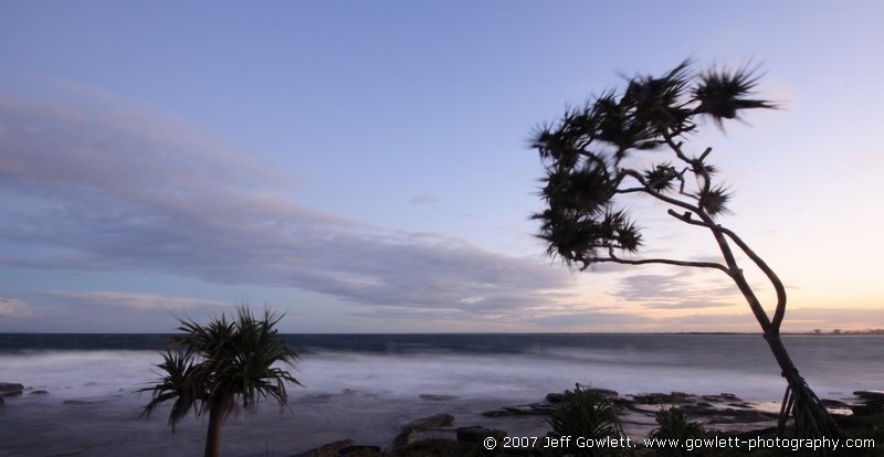 Palms by www.gowlett-photography.com