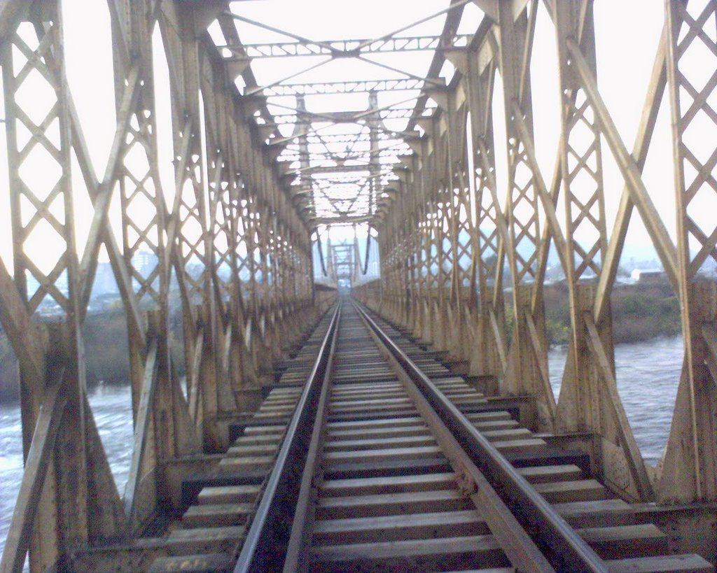 Puente de ferrocarril. Temuco-Padre las casas by tatilla_nike