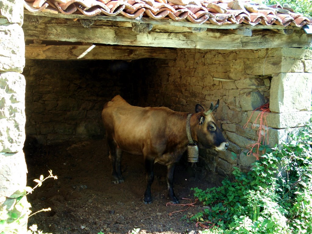 Es que ni en mi casa estoy libre de este by jenper