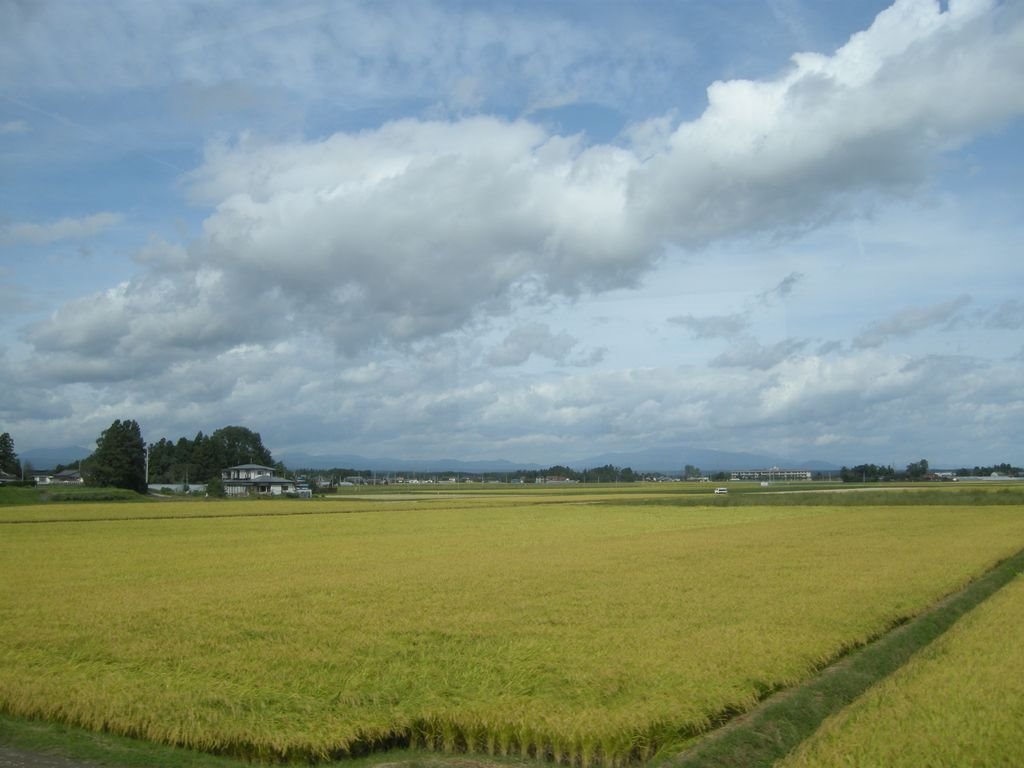 Osaki Plain,Osaki city　大崎平野（宮城県大崎市） by butch24h