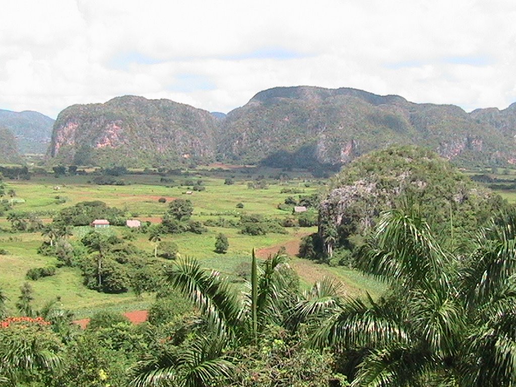 VINALES N5 by Rolando Hernandez