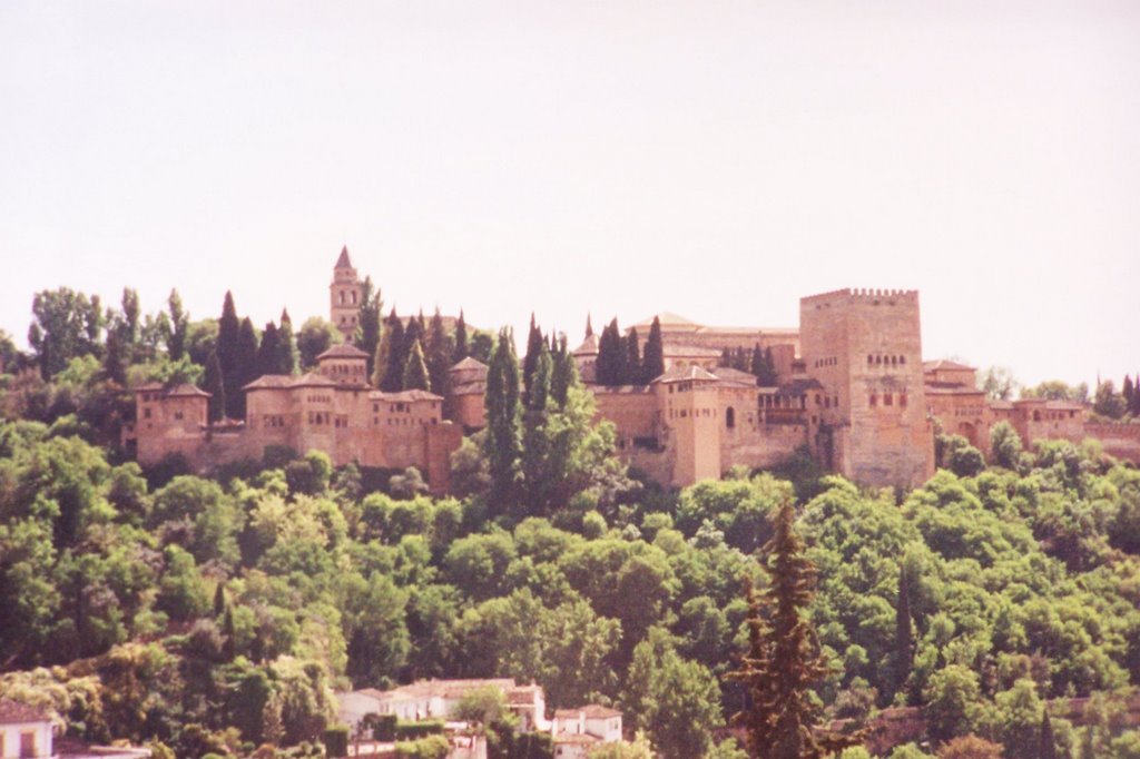 Alhambra 2001 by fabrizio farsetti