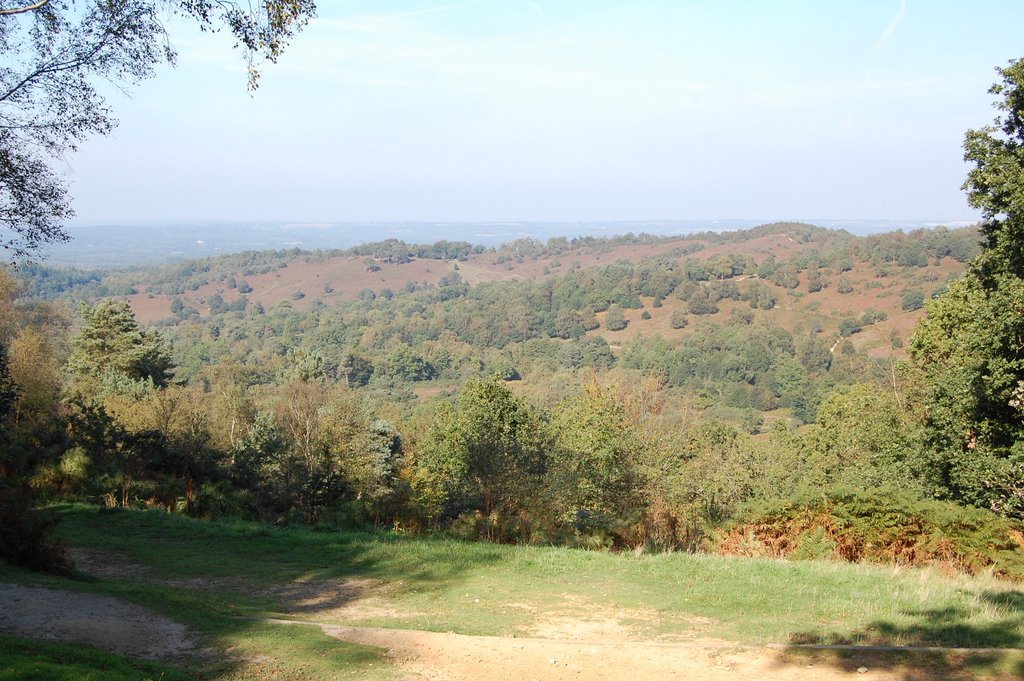 Panorama from Cafe Vewpoint by andrew381