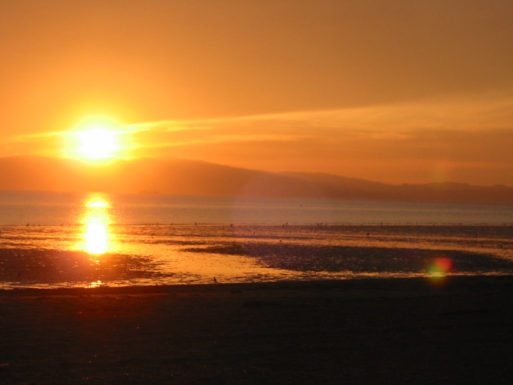 Alameda Beach at Sunset by h-gap