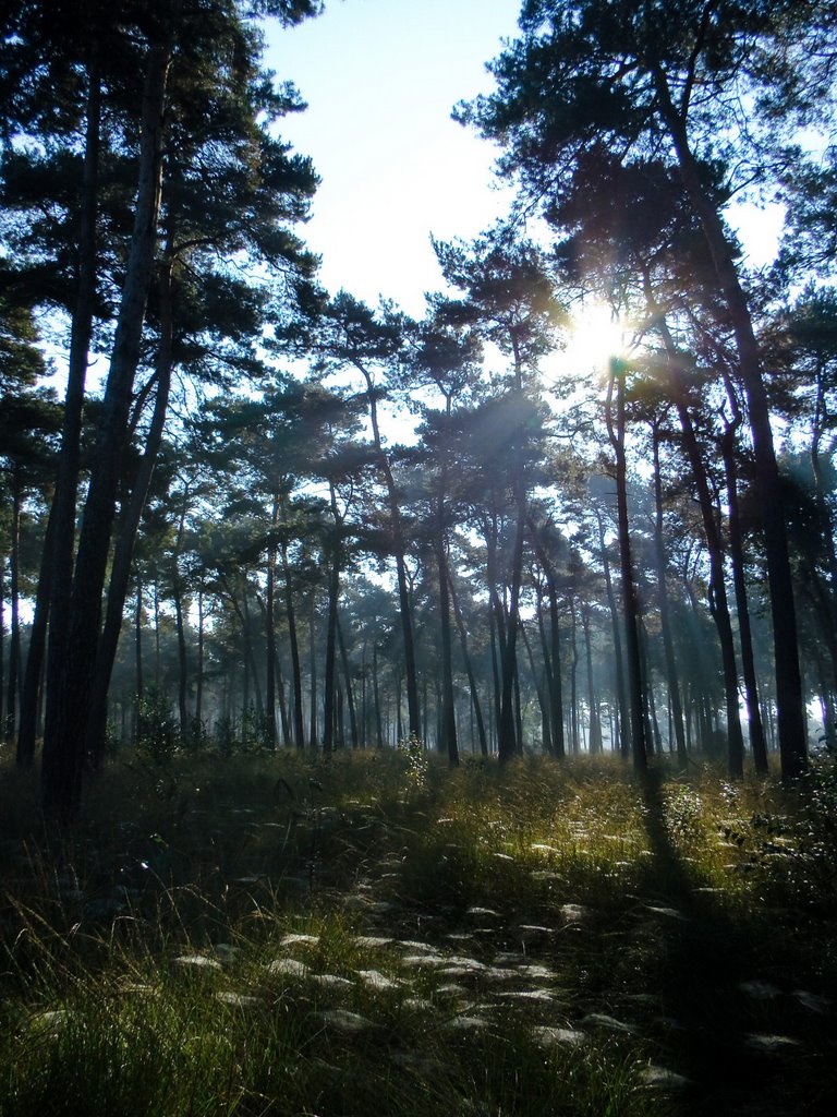 Kampina, Boxtel by mzw a.k.a. uaf