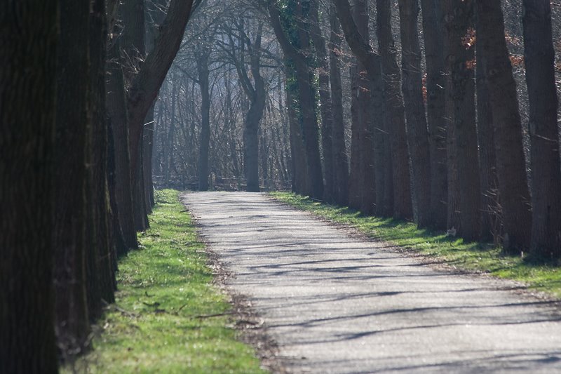 Grefteberghoekweg by Bas Wanschers