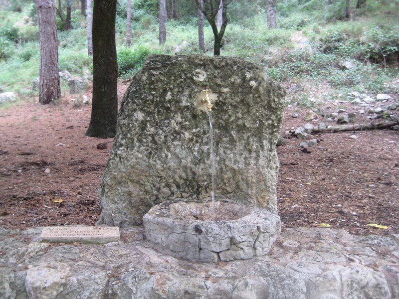 La Font del Boix by Lluis Ibañez