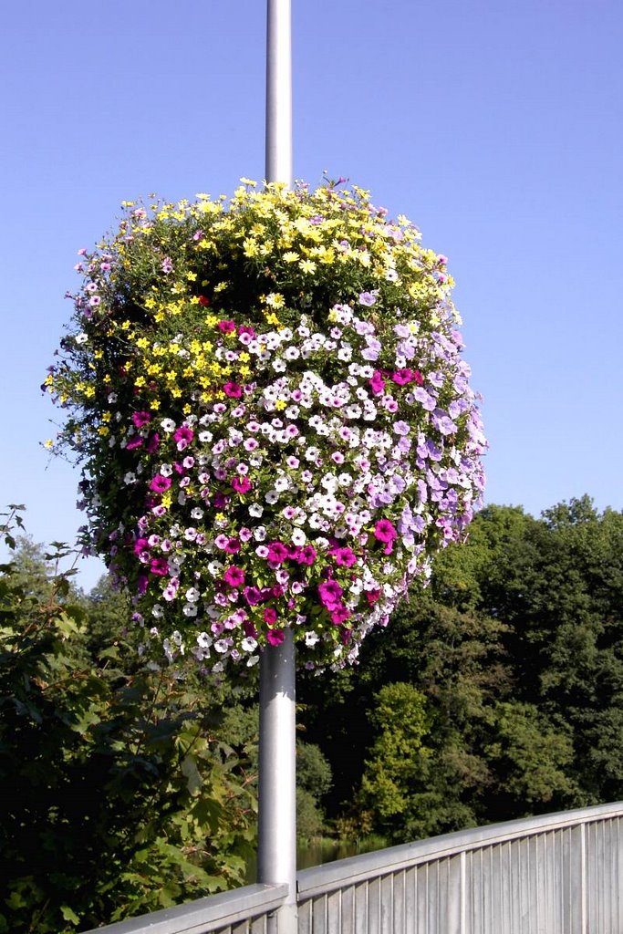 Blumenampel an den Leuchtmasten über die Pithiviers-Naab-Brücke in Burglengenfeld - by H. Rothbaecher by herbrothb