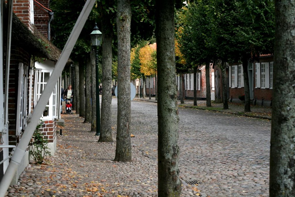 Houses and trees in the mainstreet in the town Møgeltønder by Jesper Berling