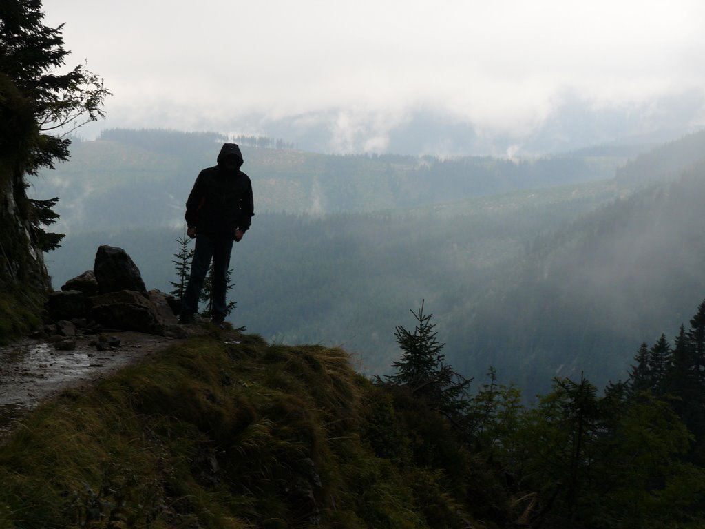 Fog & Rain by Ruud Oldenkamp