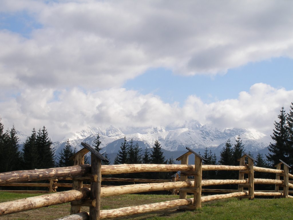 Zakopane - Widok na Tatry by Mariusz Michalski