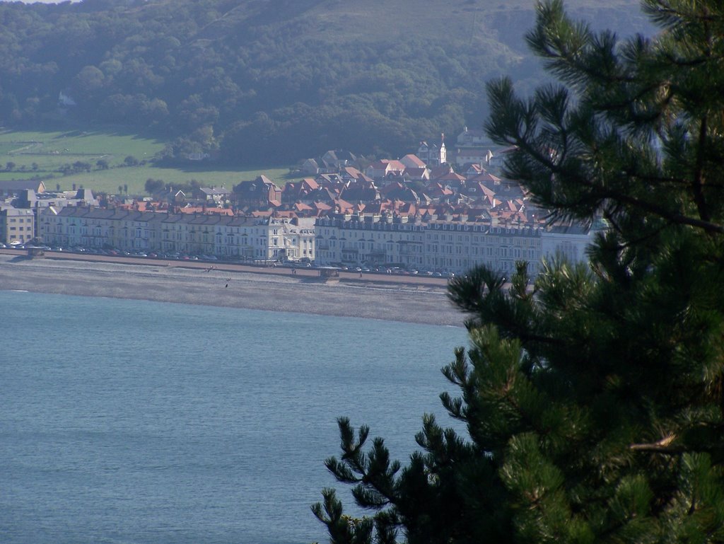 Llandudno From the Orme by Dennis Paul Griffiths