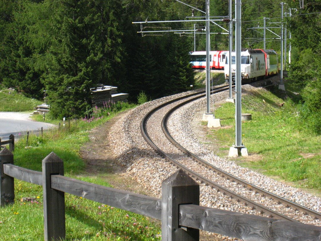 4/6" : The 61 km Bernina pass line features 13 tunnels and galleries and 52 viaducts and bridges. by ☮Ronan 60 countries☮