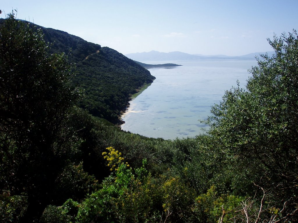 Lac Ichkeul by Slim Ben Bahloul