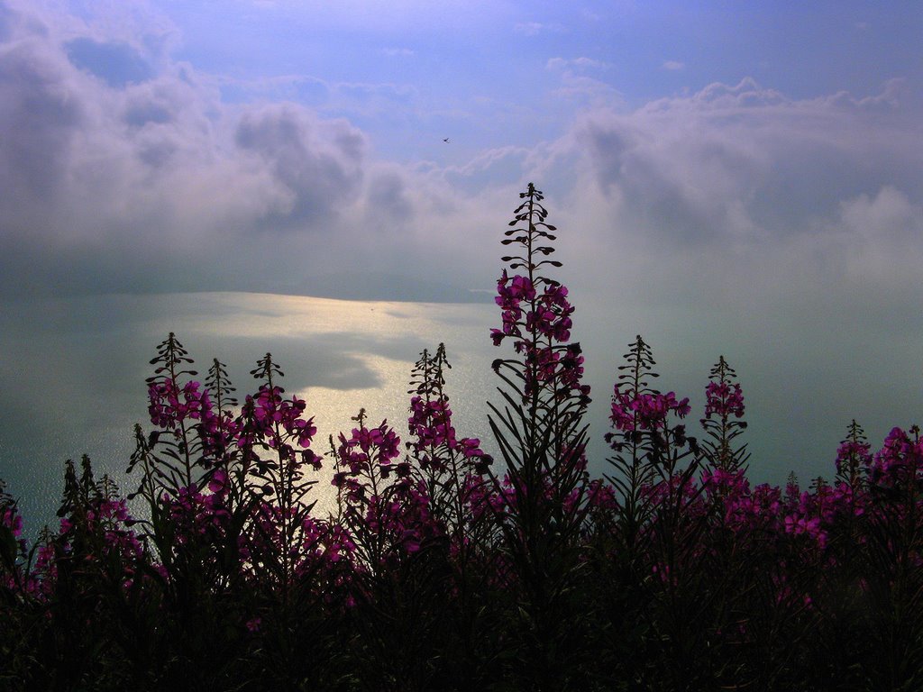 Tramonto sul lago by marco .gi 46