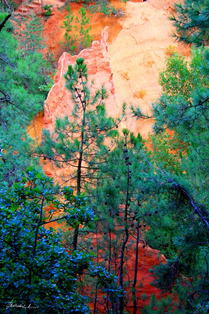 "ocre"...ROUSSILLON...VAUCLUSE...FRANCE. by BORDEAU Alain.(NO VI…