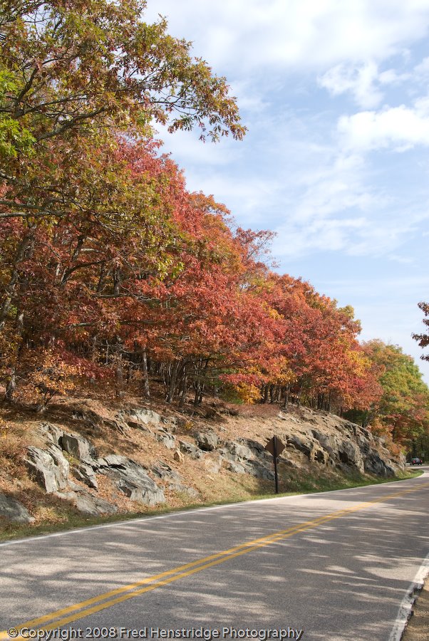 Views along Skyline Drive Near Big Meadows by Fred Henstridge