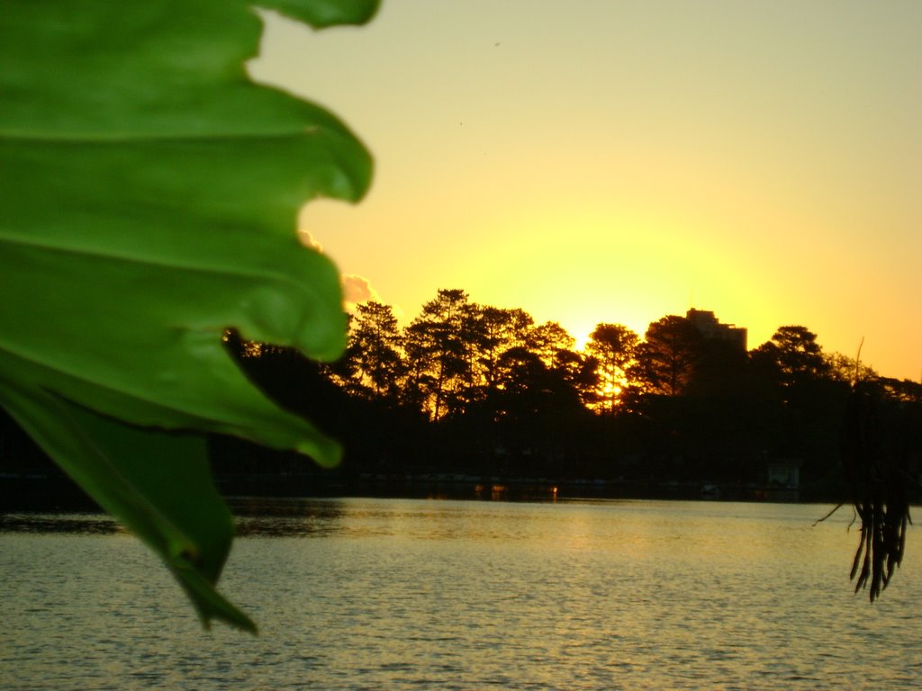 Centro, Araras - SP, Brazil by ***Liz*** (Rusca)