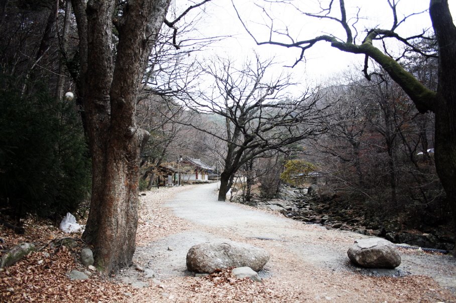 Road to SongKwang-Temple, SeungJu, Korea by GI Sun, Seo