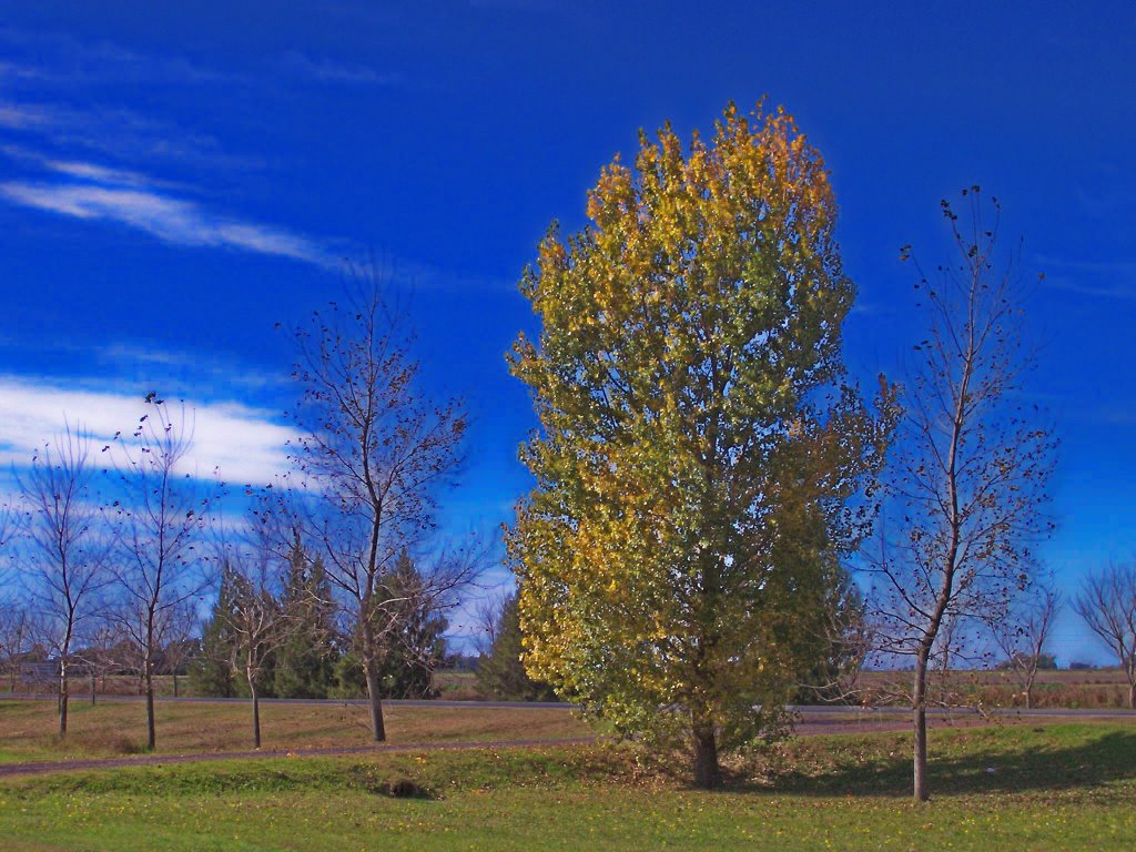 Otoño 2006 by Hugo Fragoletti