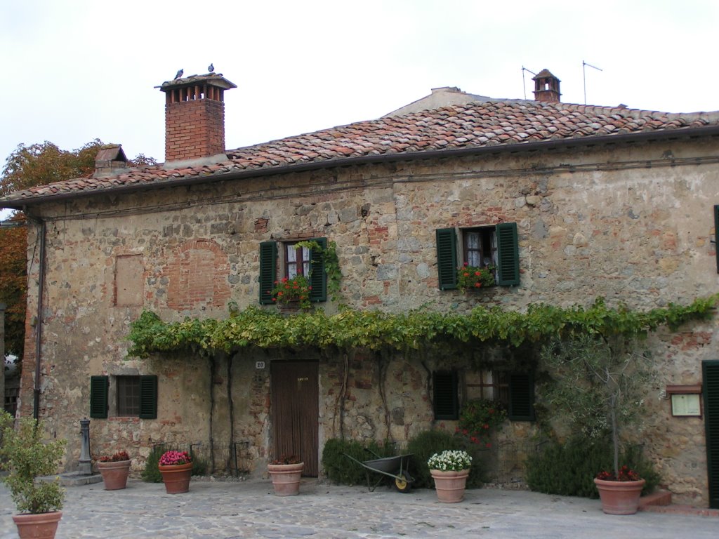 Musée du vin à San Gimignano (super le Vernacia !) by mikeken