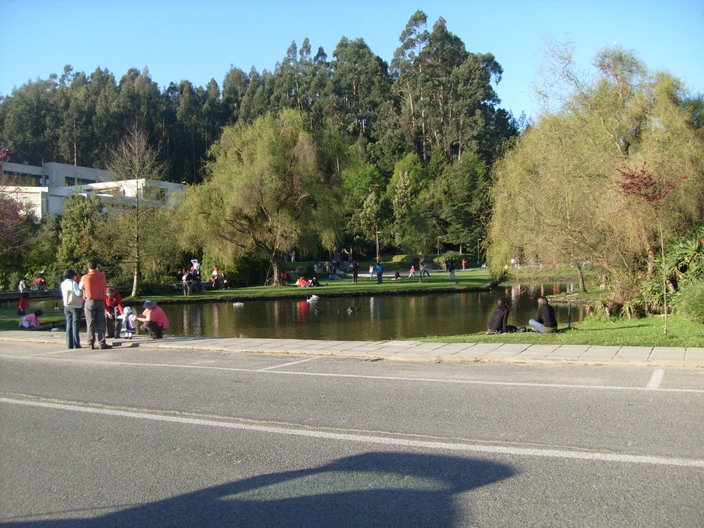 Lago al lado de la Facultad de MyCF. UdeC. by TrianglePoint