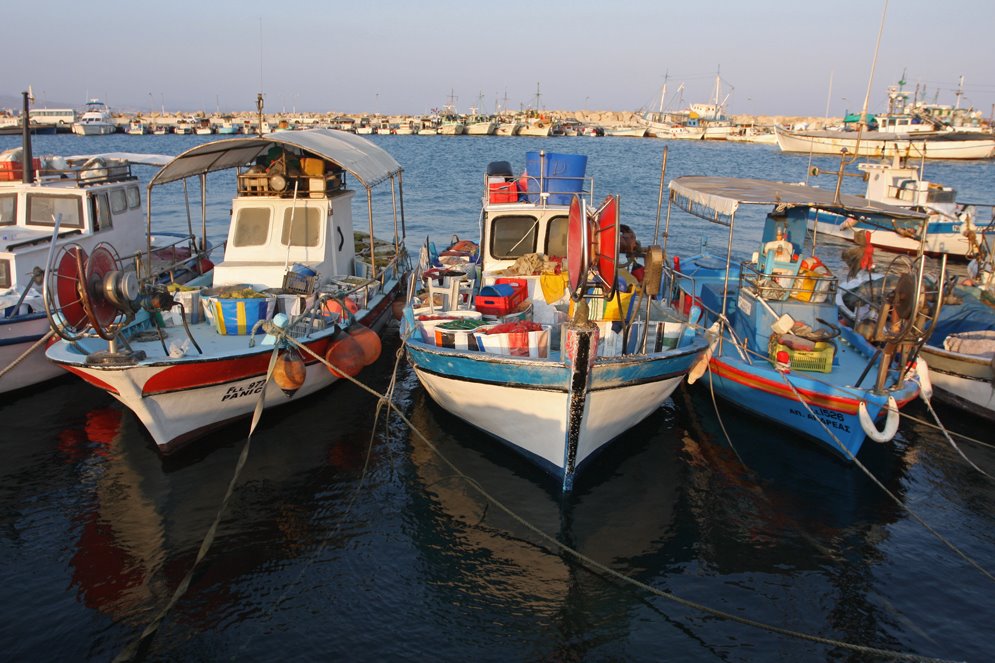 Fishboats at the old harbour by Franginos Theodorou